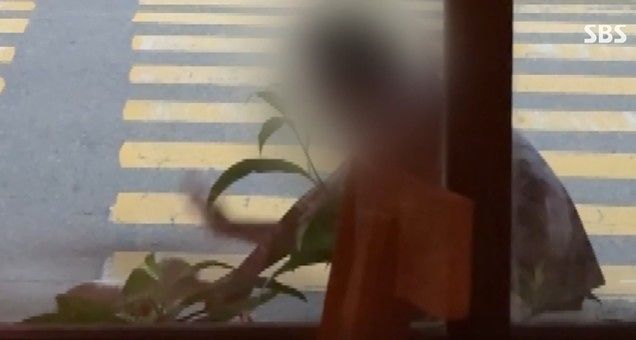   飼い犬を殴る飼い主の様子。［写真 KBC光州放送・SBS キャプチャー］