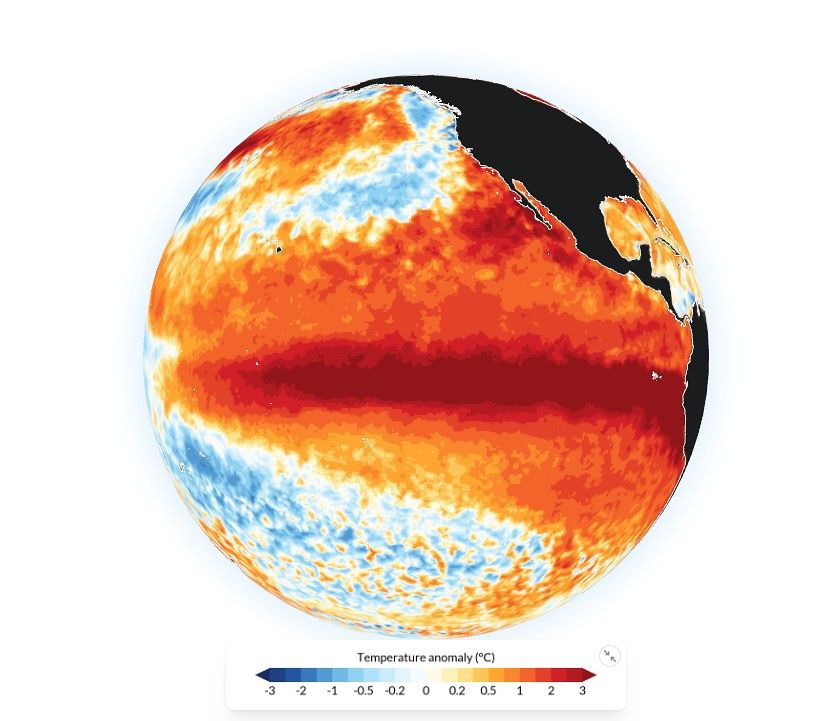 エルニーニョ監視区域である赤道太平洋海域の海面水温偏差。赤色が濃いほど、平年より水温が高いことを意味する。［C3S／ECMWF］
