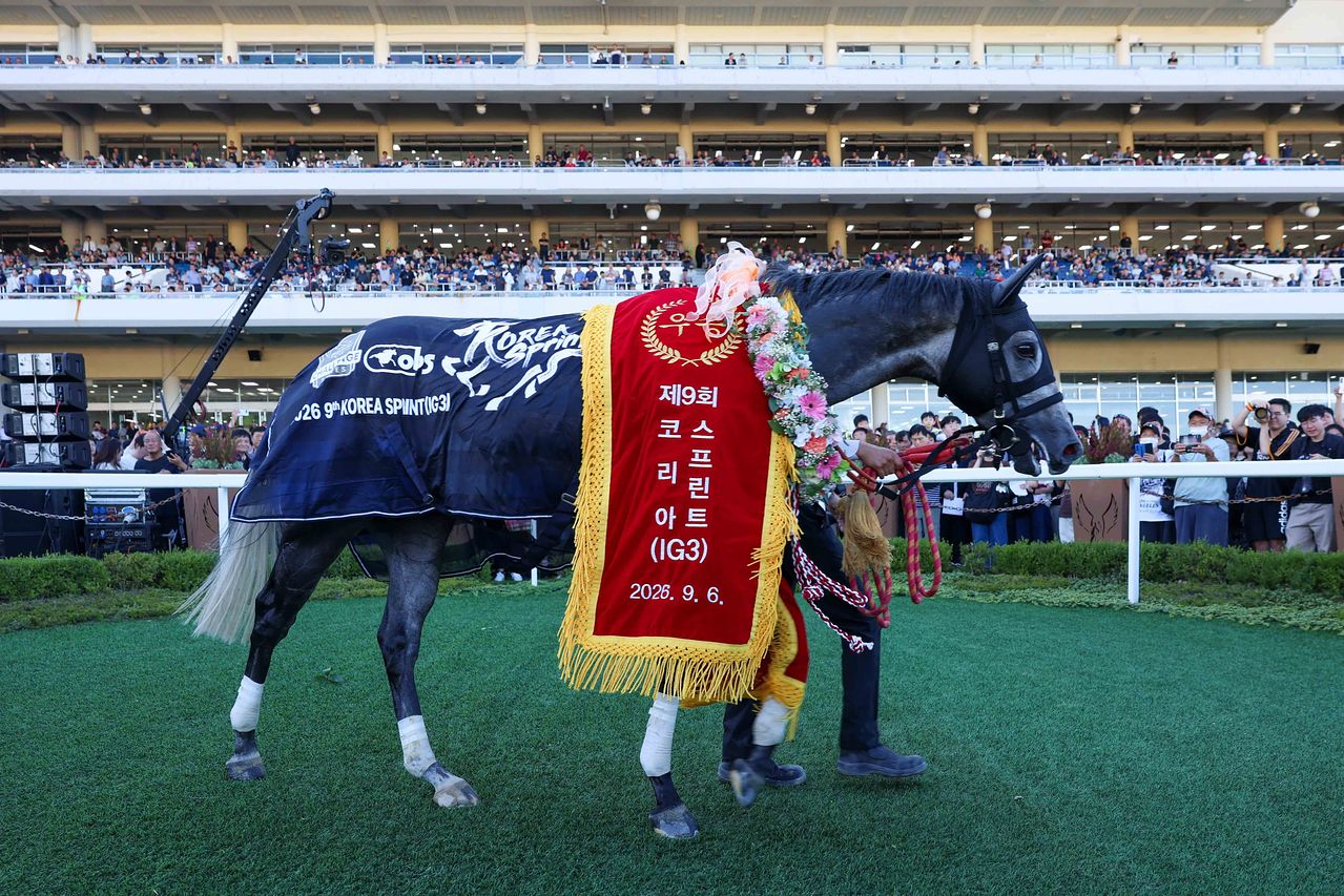   2026コリアスプリント優勝馬「ドラゴンウェルズ」 ［写真 韓国馬事会］