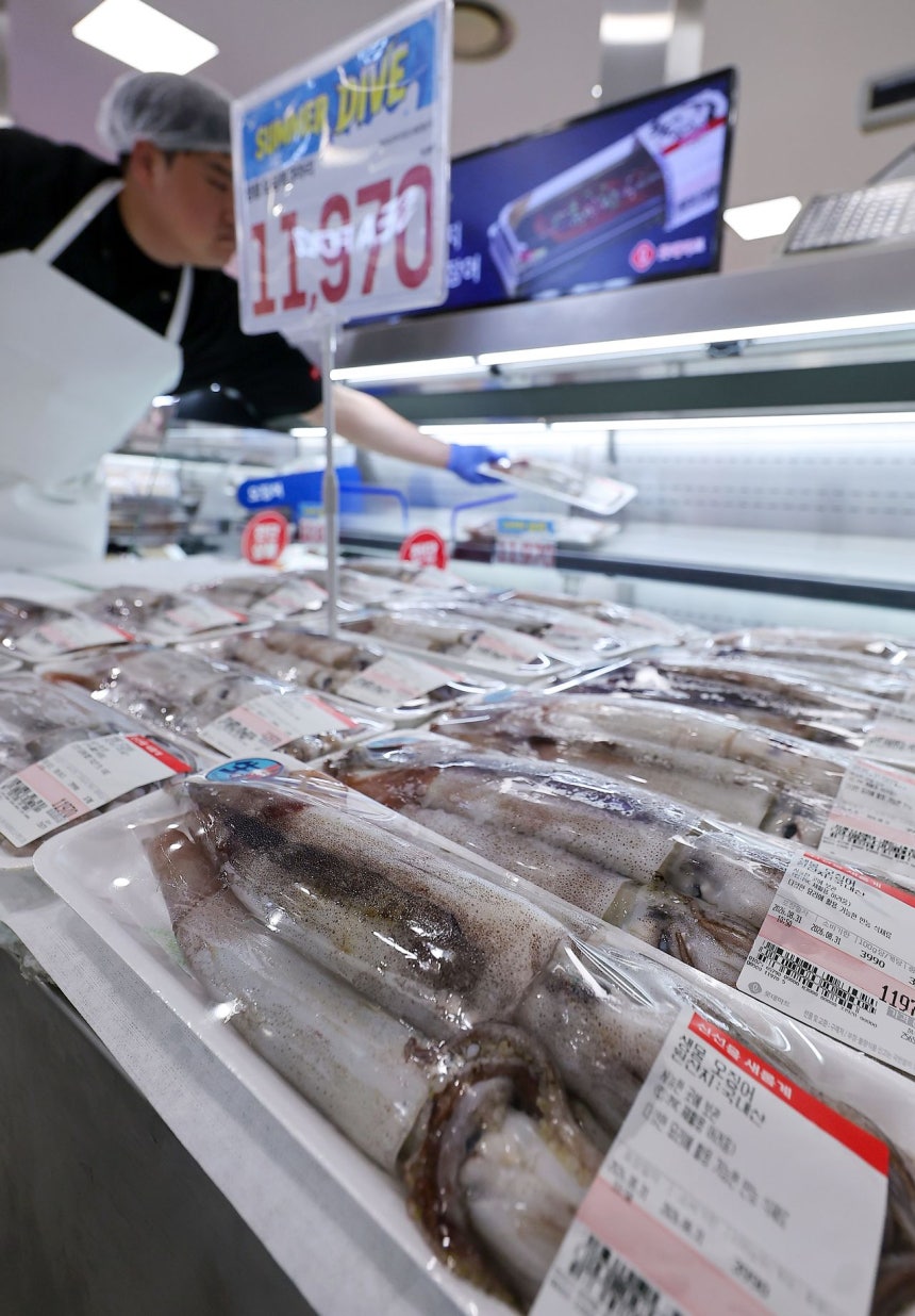 先月31日、ソウル市内の大型マートにイカが並べられている。［写真 ニュース1］